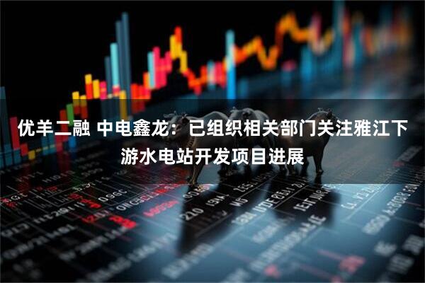 优羊二融 中电鑫龙：已组织相关部门关注雅江下游水电站开发项目进展
