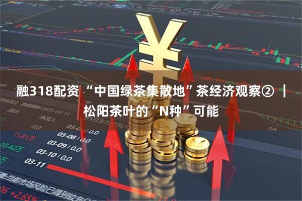 融318配资 “中国绿茶集散地”茶经济观察② ｜松阳茶叶的“N种”可能